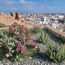 Almeria seen from its Alcazaba